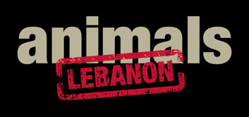 Stop Animal Abuse in Lebanon Petition