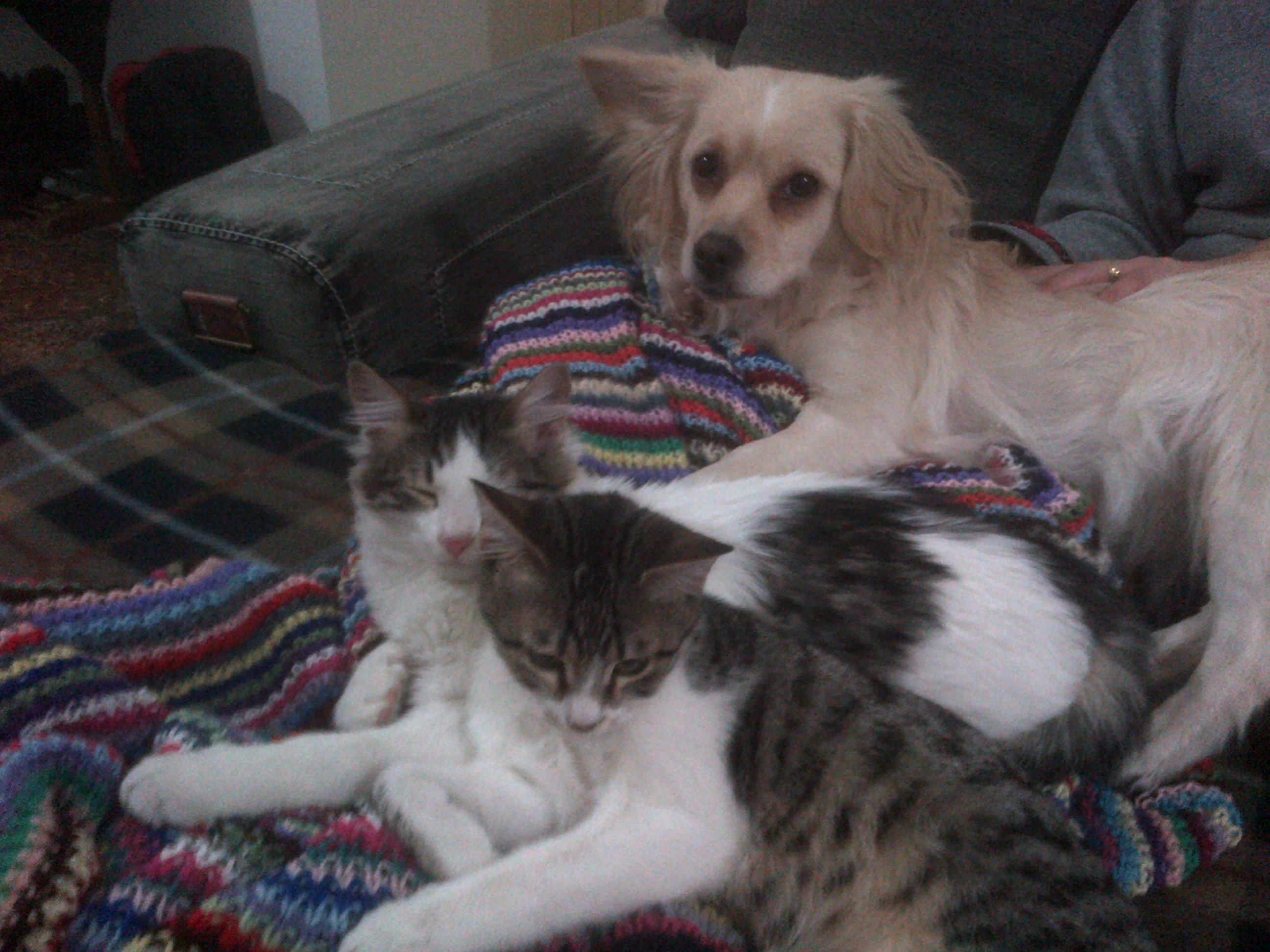 Bubble and Tigger