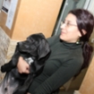Eight dogs flown to US