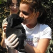 Lilo and her underground puppies